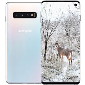 Celular Smartphone Samsung Galaxy S10 8 + 128 GB-Blanco