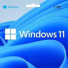 Windows 10 /11 PRO - Retail