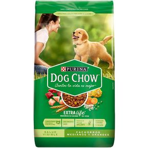 Dog Chow Cachorro Raza Grande y Mediana 2 Kg
