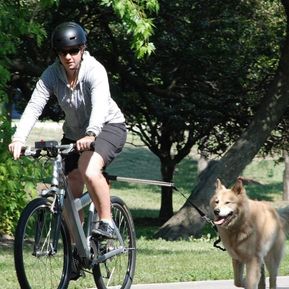 Perro de correa para bicicleta Manos libres de perro ejercicio entrenamiento Correa un perro Correa