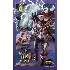 Monster Hunter Flash No. 3