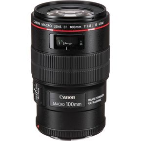 Canon EF 100mm f/2.8L Macro IS USM Lens - Black