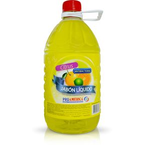 Jabón líquido manos Antibacterial 2000 mL Citrus