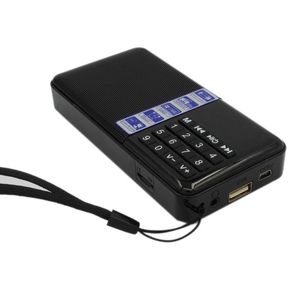 SD-111 hi-rice, radio FM portátil, reproductor de Mp3, tarjeta TF, USB, altavoz digital Redner para el ocio, ancianos, caminan bailando(#black)