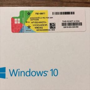 Windows 10 Pro Digital 1 Pc