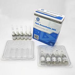 Testosterona Enantato - Human Pharma
