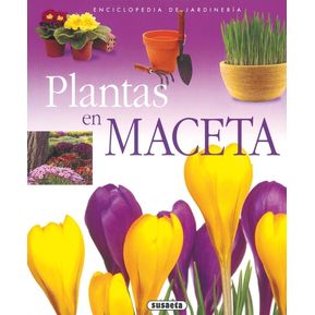 Plantas En Maceta / Enciclopedia De Jardinería