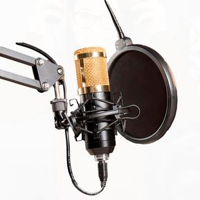 Microfono Condensador Profesional Grabacion Brazo Tijera Dorado