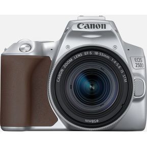 Canon EOS 250D / Rebel SL3 kit with 18-55mm STM lens - Plata