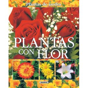 Plantas Con Flor / Plantas De Jardín