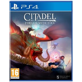 PlayStation 4 GamePS4 Citadel: Forged With Fire English Version