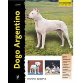 Dogo Argentino / Excellence