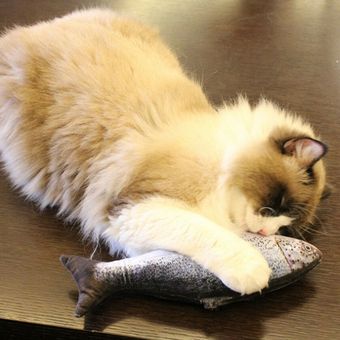 5PCS Catnip Fish s para gato 20Cm Cat s Cat Fish bajo Catnip s 