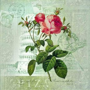Imagen De Floral Sobre Lienzo Enrollado - Rosas Sello Iii - 40X40cm