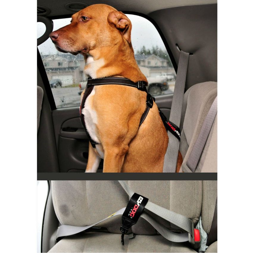 Cinturón de Seguridad de Auto para Perro Ezydog-Negro..