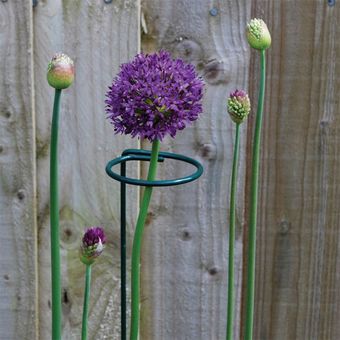 5 unidsset 40cm flor planta soporte de Metal soporte de Bonsai jueg 