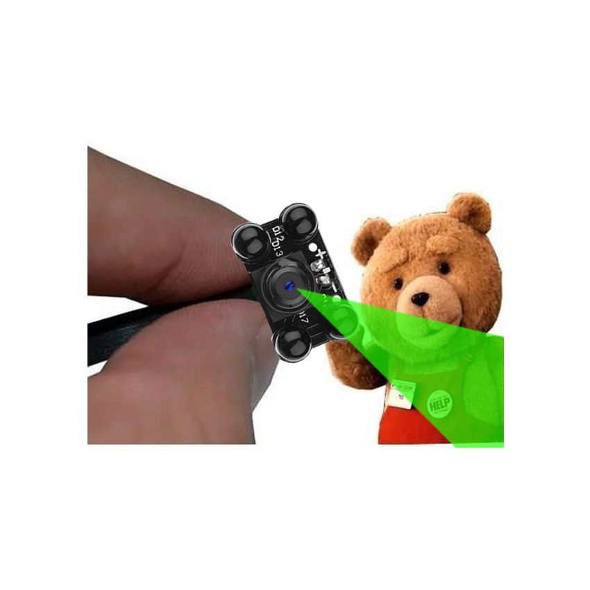 oso con camara espia