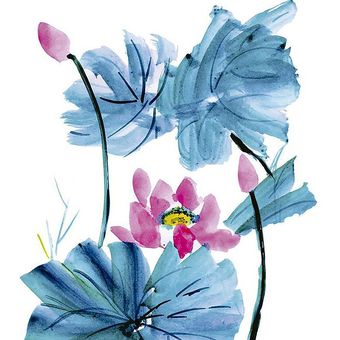 Cuadro 40x30 cm ilustración acua flor 