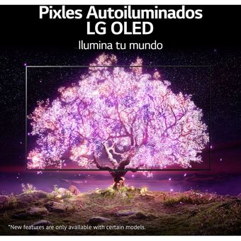 Oled 55 Oled55A1Psa 4K Hdr Smart Tv 