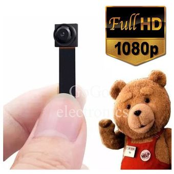 oso con camara espia