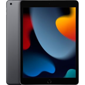 Tablet Apple iPad 9na Gen 10.2 Wifi 64gb Gris Espacial
