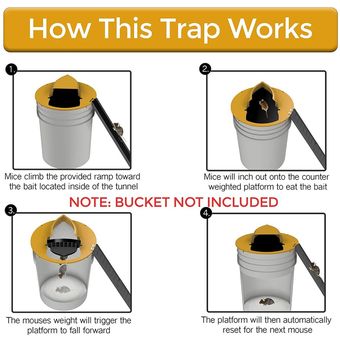 Rat Trap Bucket Mouse Trap tirón N Slide Bucket tapa Mouse Trap Slope Mouse Trap 