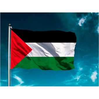 Bandera Palestina 150x90cm Exterior Grande GENERICO