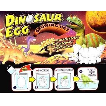 Set X12 Huevo Dinosaurio Crecen En Agua Encubar Eg 10cm J-toys | Linio  Colombia - GE063TB001TQGLCO