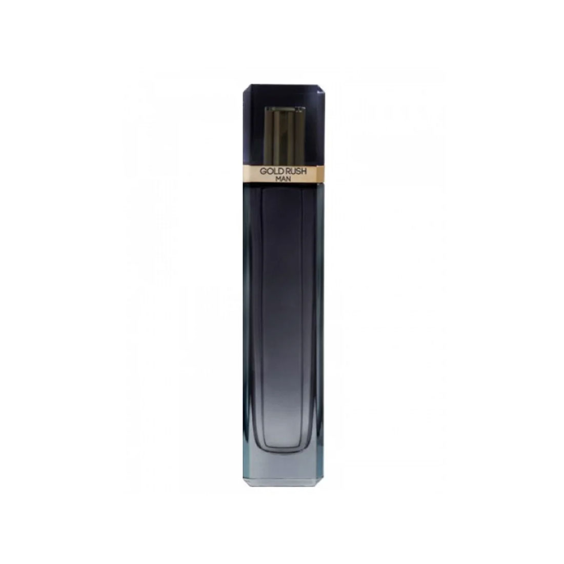 Perfume Hombre Gold Rush Eau de Parfum 100 ml Paris Hilton