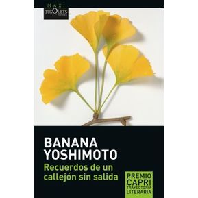 Recuerdos De Un Callejon Sin Salida (Coleccion Maxi) - Yoshimoto Banana