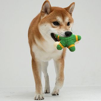 Juguete para perros Vocal Dog Bite od Bite Productos para mascotas Sum 