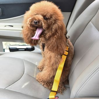 Sistema de viaje coche arnés perro seguridad cinturón de seguridad HDP ,  Adjustable, Negro