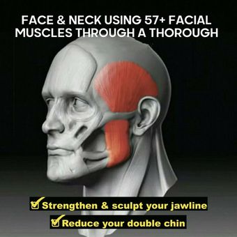 HA Ejercitador de músculos de mordida facial Ejercitador de 