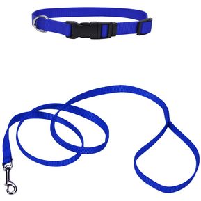 Combo Collar + Traila Nylon 1.80 mt. Azul L