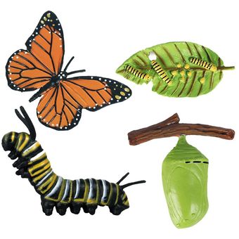 Insectos de plástico Figuras de crecimiento de mariposas y gallinas 