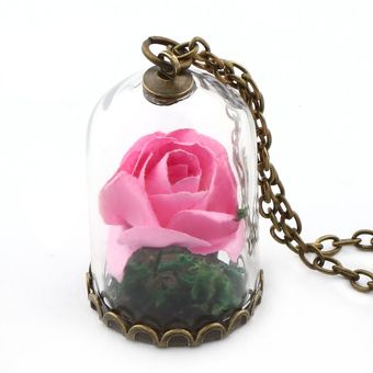 Regalo de las mujeres Romántico Flores secas Colgante de vidrio Bronce Collar de cadena larga 