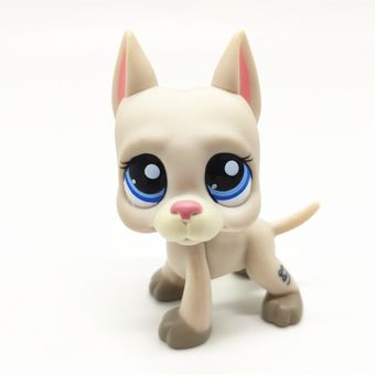 perro hasbro