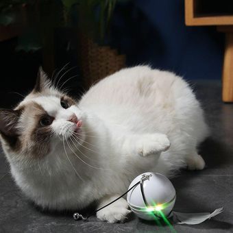 Luces LED Juguetes para gatos Plumas Electrónicas 