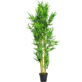 Planta Bamboo 180 cm