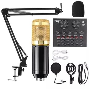 Microfono Inalambrico Receptor Usb Plug Profesional Karaoke. NIATEC