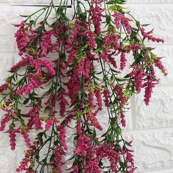 Lavanda Wallflowers artificial lavanda planta falsa jardín colgante flor de  la boda del partido Decoración-rose Red | Linio Colombia - GE063HL139KVRLCO