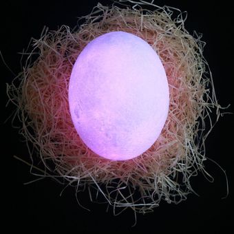 Huevo de dinosaurio 3D Impresión lámpara regulable de control remoto de 16 colores luz de la noche 
