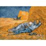 Rompecabezas Miniatura 1000 piezas Van Gogh La Siesta