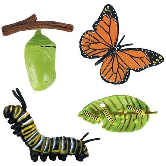 Figuras de ciclo de vida de crecimiento de mariposa artificial juguete de HON 