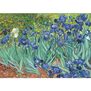 Rompecabezas Miniatura 1000 piezas Irises Lirios Van Gogh