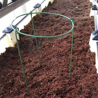 3 uds planta anillo soporte resistente al óxido soporte de jardín fl 