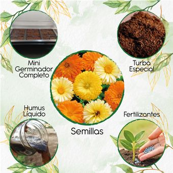 Generico - 140 Semillas Orgánicas De Flor Mercadela + Kit De | Knasta  Colombia