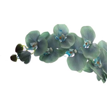 Flor Phalaenopsis Hidratante Flor artificial Decoración Simulación 