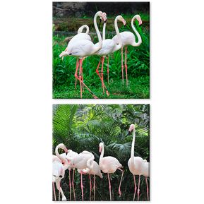 Set de Cuadros Decorativos Canvas Flamingos 30x30