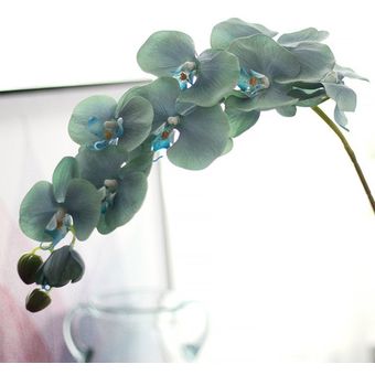 Flor Phalaenopsis Hidratante Flor artificial Decoración Simulación 
